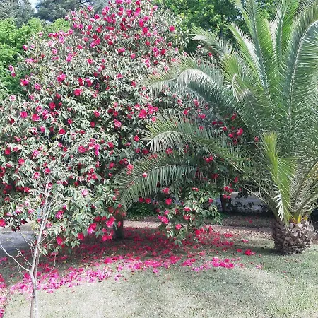 Casa Da Espinhosa