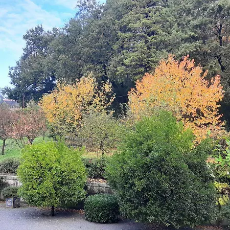 Casa Da Espinhosa Oda ve Kahvaltı 3*