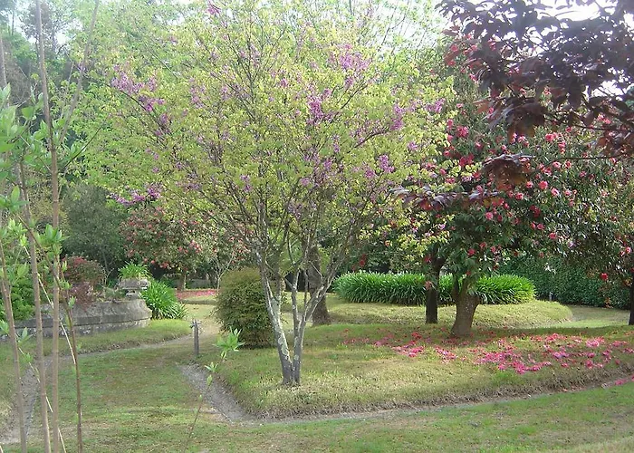 Casa Da Espinhosa ベッド・アンド・ブレックファスト 3*